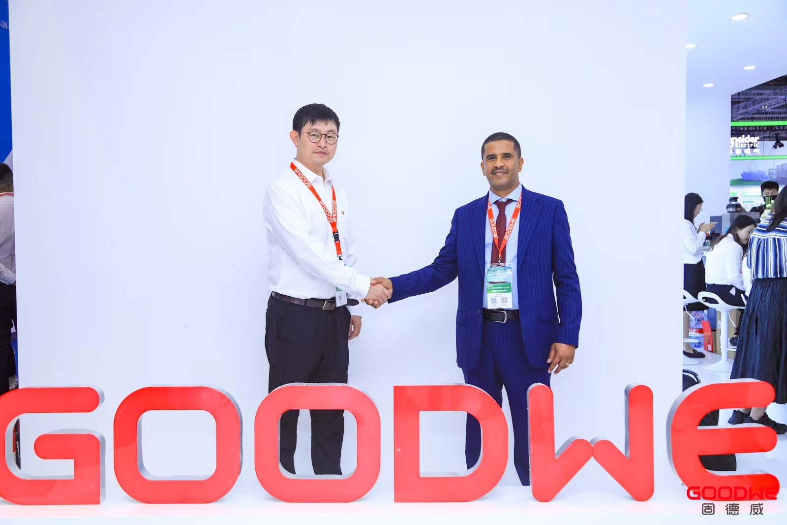 شركة GoodWe